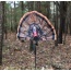 Mojo Fatal Fan Turkey Fan - Decoy