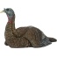 Avian X Lcd Laydown Hen Decoy -